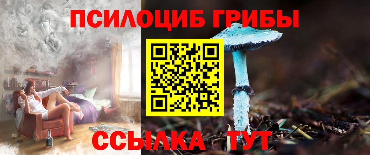 Псилоцибиновые грибы мухоморы  Вход с VPN  купить наркотики цена  Галлюциногенные грибы мухоморы  Ростов Великий 